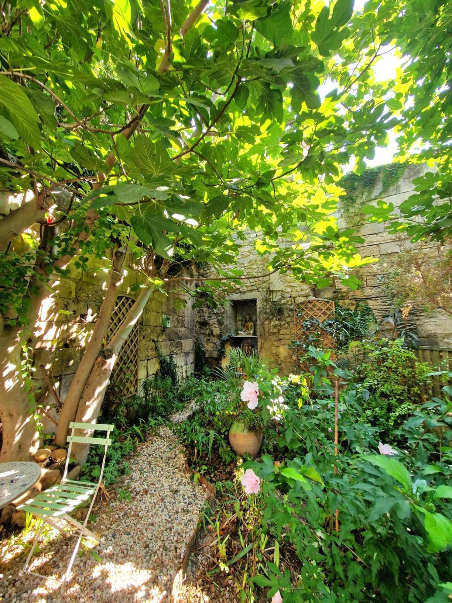 Capucines, Un Jardin Secret Dans Le Centre Historique Apartment Arles Exterior photo